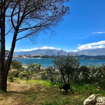 Cinque Sensi Villa Porto Vecchio